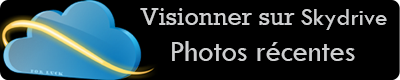 Visionner sur Skydrive: Automne 2011